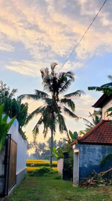 Euro House At Countryside * Ubud
